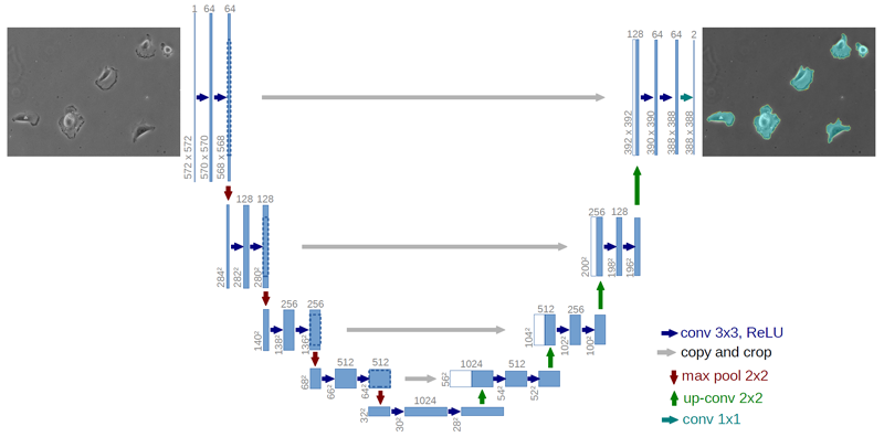 u-net-architecture