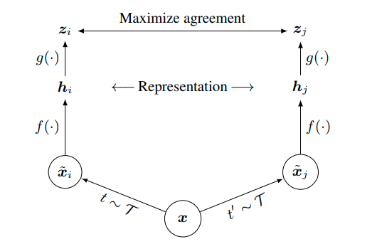 SimCLR - simple contrastive learning